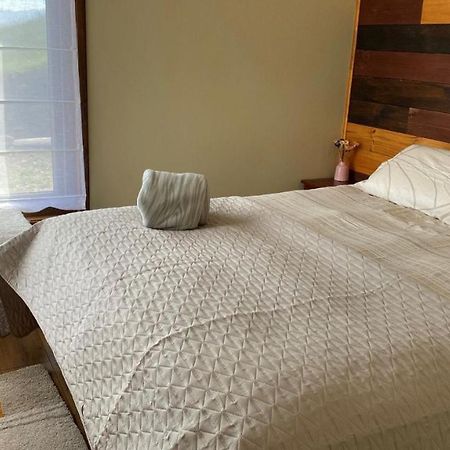 Cabanas Las Terrazas De Iculpe Población Población Lago Ranco Екстериор снимка